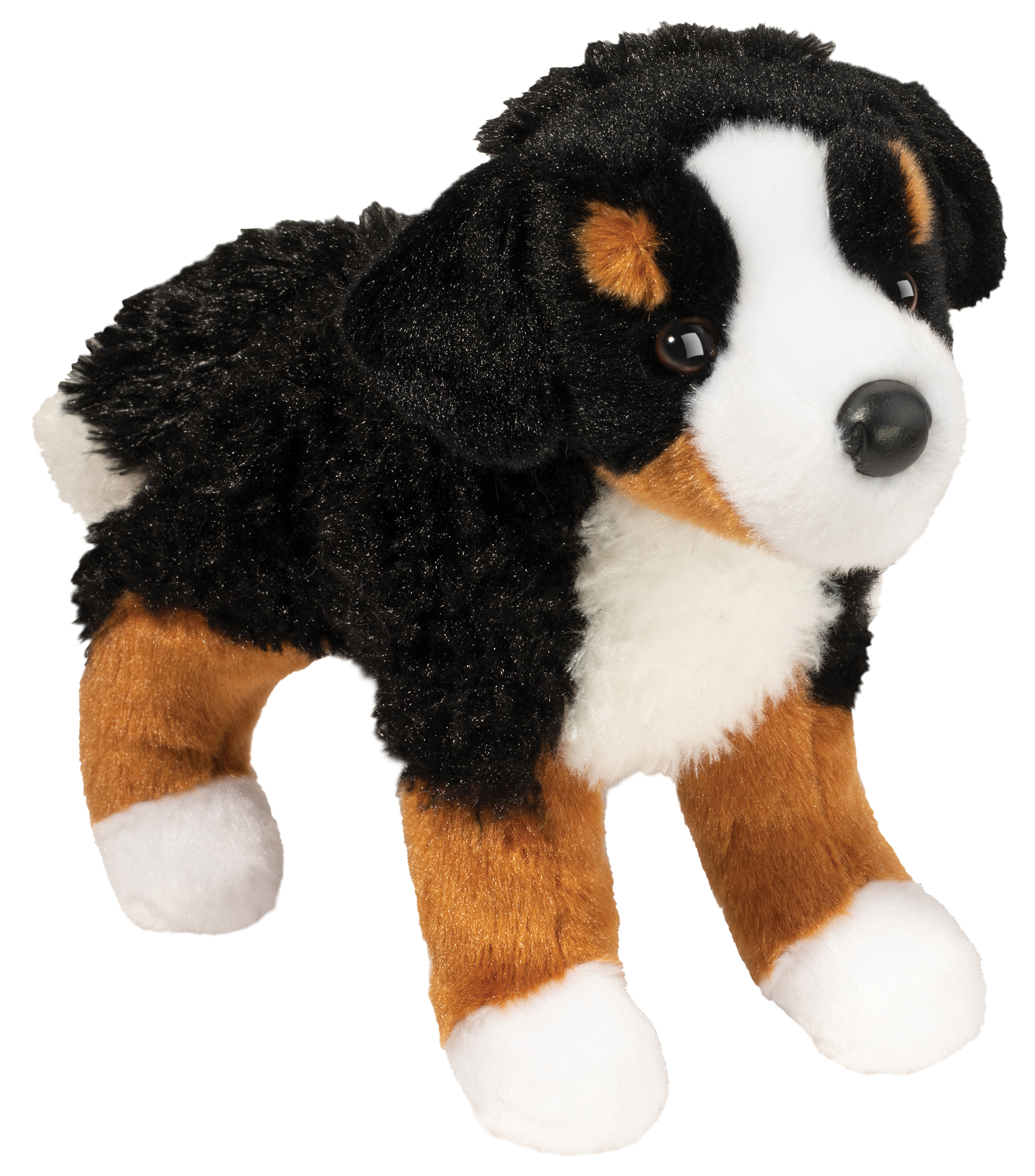 Miranda Bernese Mountain Dog, Collections Dog, flooring fabrics protection